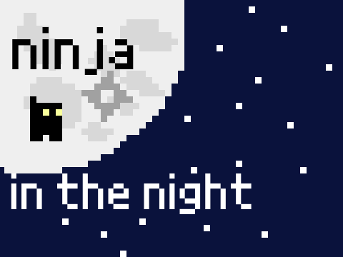 Ninja In The Night
