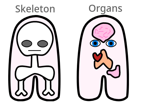 Among Us Anatomy