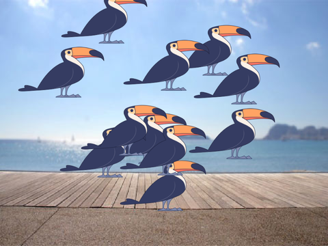 Toucan pop! (Beach)