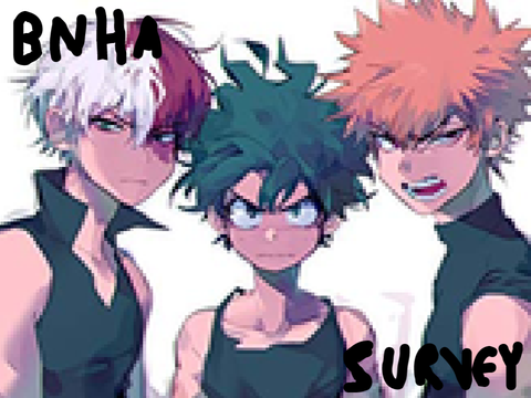 BNHA ~ MHA SURVEY ANSWERS