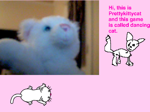 Dancing cat
