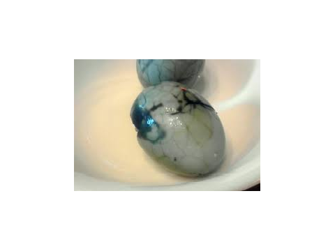 Rotten eggs for 