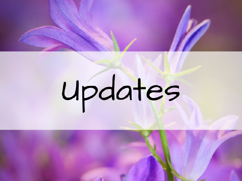Hiatus Updates