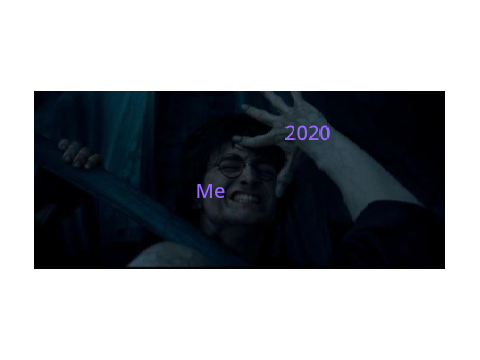The Best Harry Potter Memes EVER