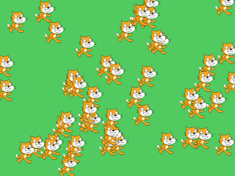 Find a cat