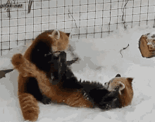 redpanda