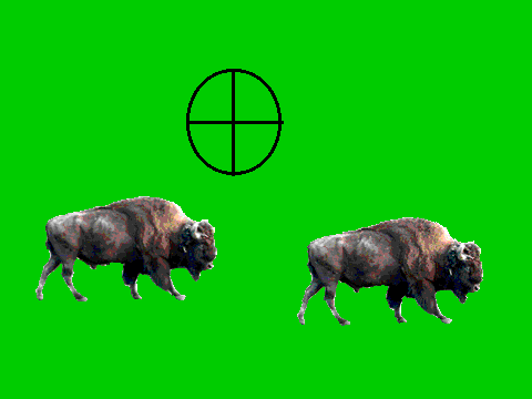 hunting