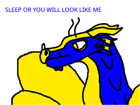 idk why i did this
