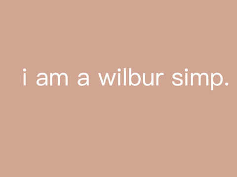 i am a wilbur simp, yes i know :)