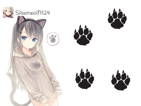 SONGZ ⋆`.✫ .・。.・゜✭・.・✫・゜。・✫.・ *