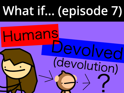 What If.... (Episode 7)