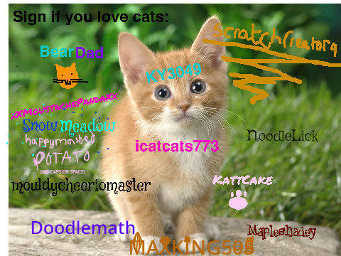 Sign if you love cats! remix remix