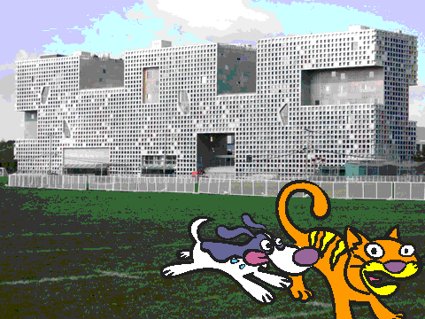 Cat movie