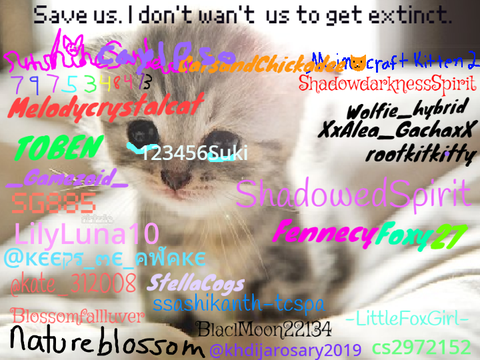 Sign if you hate animal cruelty :"C remix  remix remix remix remix remix remix remix remix re… remix