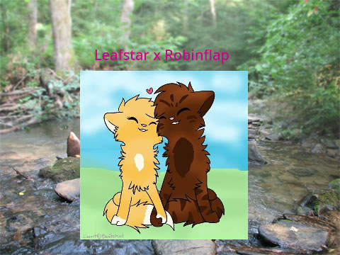 Warrior cats Leafstar x Robinflap