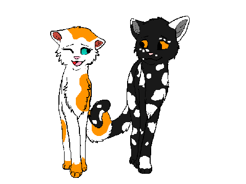 Bright x Swift