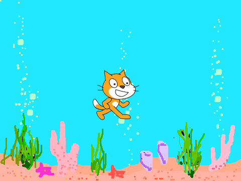 CATTE CAT