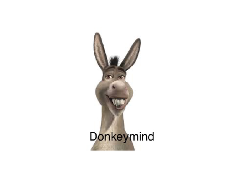 PFP for @donkeymind