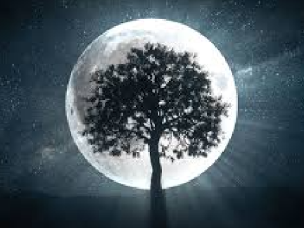 Ah yes moon and tree B) it is a mree XD