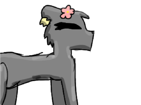 5+ followers dtiys