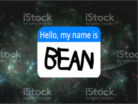 THE NAMETAG