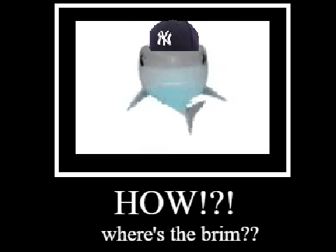 Yankee with No B R I M