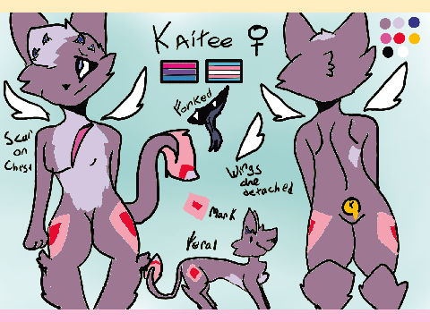 Payment :0