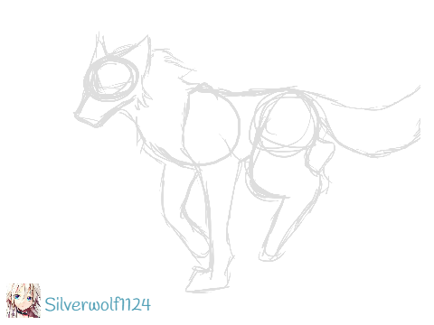 Wolf running animation--