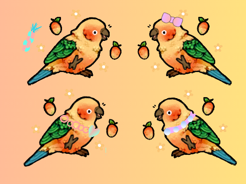 Adopt a Sun Conure!
