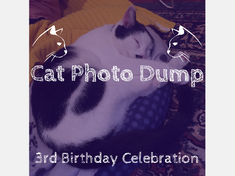 Photo dump [Domino's Birthday]