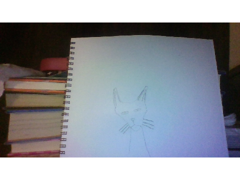 My First Cat Drawing