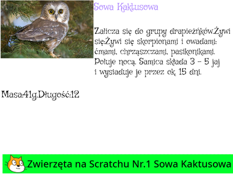 sowa kaktusowa