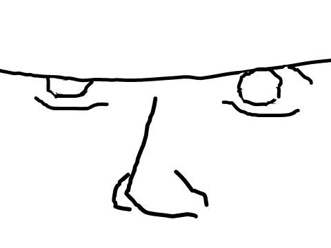 Animation