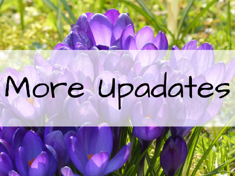 Updates (#2)