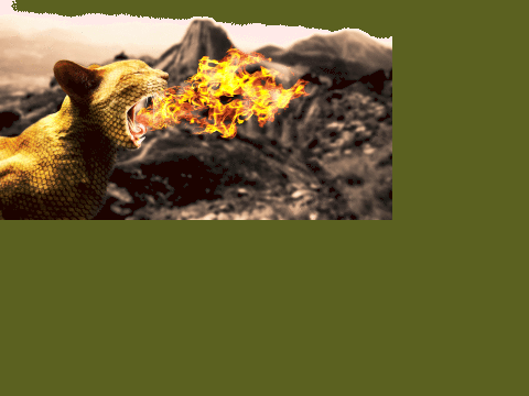 Join the dragon cats
