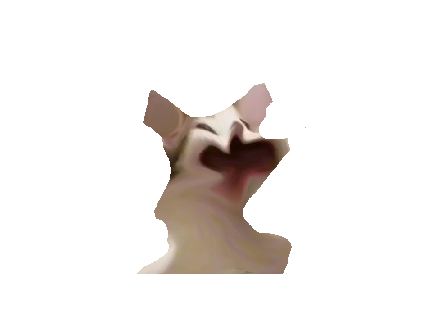 Cat is frozen cuz they love this song (by kit kat)