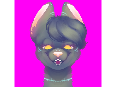 PFP for -Sensational-