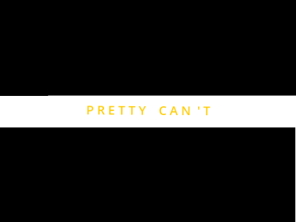 PRETTY CAN'T || MEME  remix