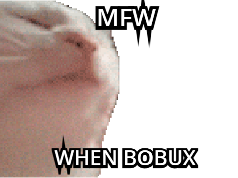 EPIC BOBUX CAT!!!11!!!111!!1!