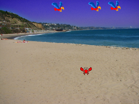 Beach Scene
