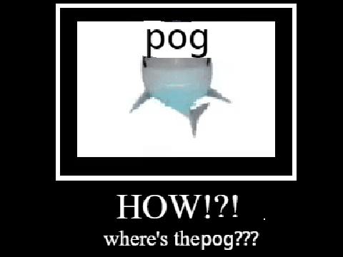 Yankee with No POG