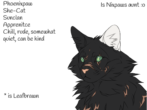 ᭙ꪖ᥅᥅꠸ꪮ᥅ᦓ ᥅ρ Oc's