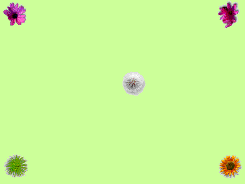SUPA SPINNY (collection 2)