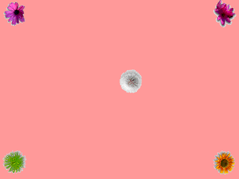SUPA SPINNY DELUXU.