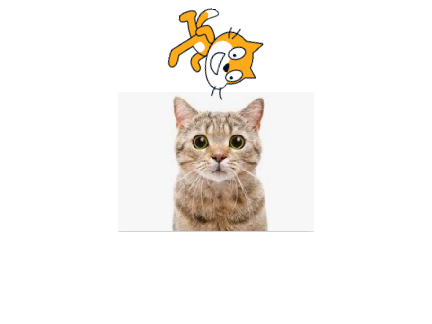 meow