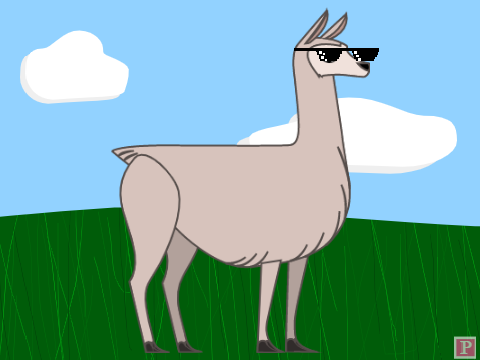 Llama