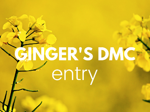  ♡ Ginger's DMC Entry