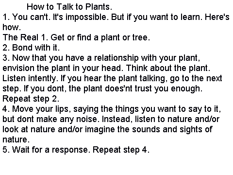 How to Talk to Plants