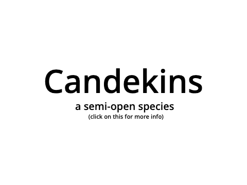 Candekins - semi-open species