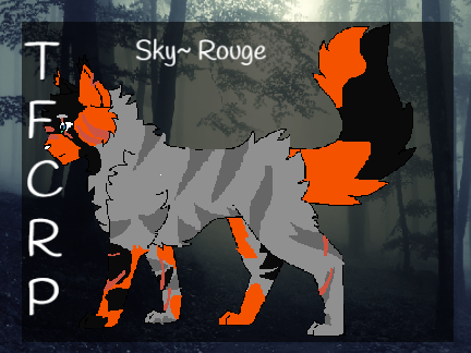 Sky~ Current TFCRP Character Ref